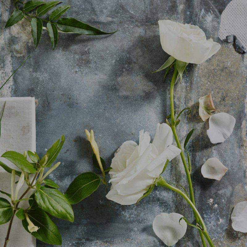 shop spring collection