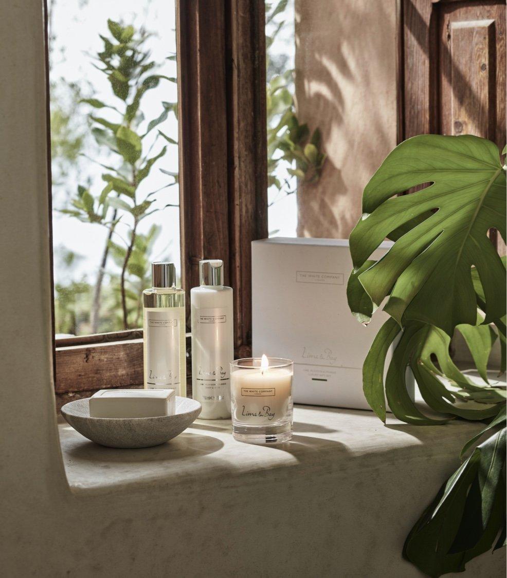 lime and bay candle and fragrance collection