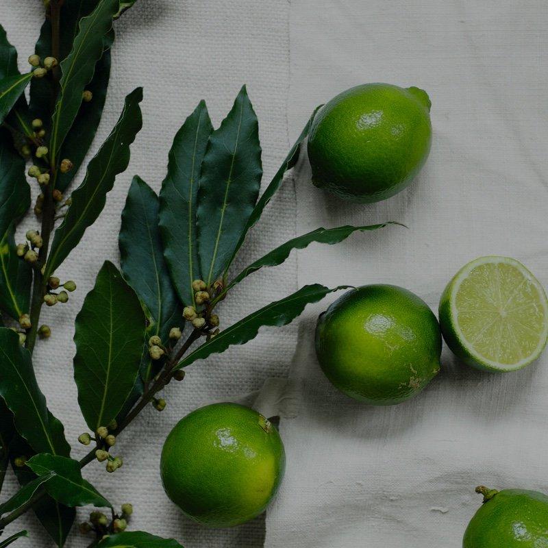 shop lime and bay collection