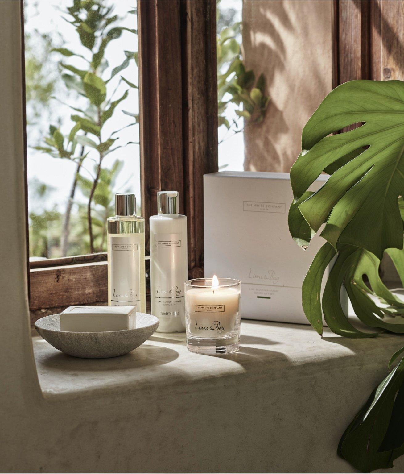 shop lime and bay collection