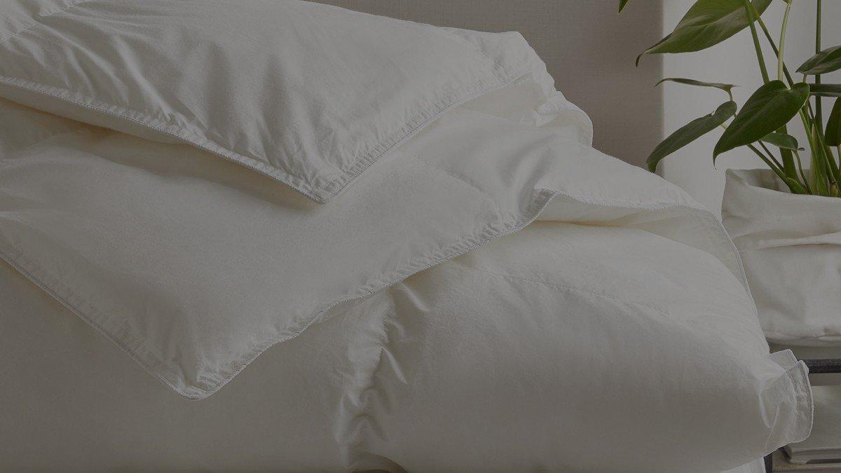 a bed with a potted plant on top of it and a pillow