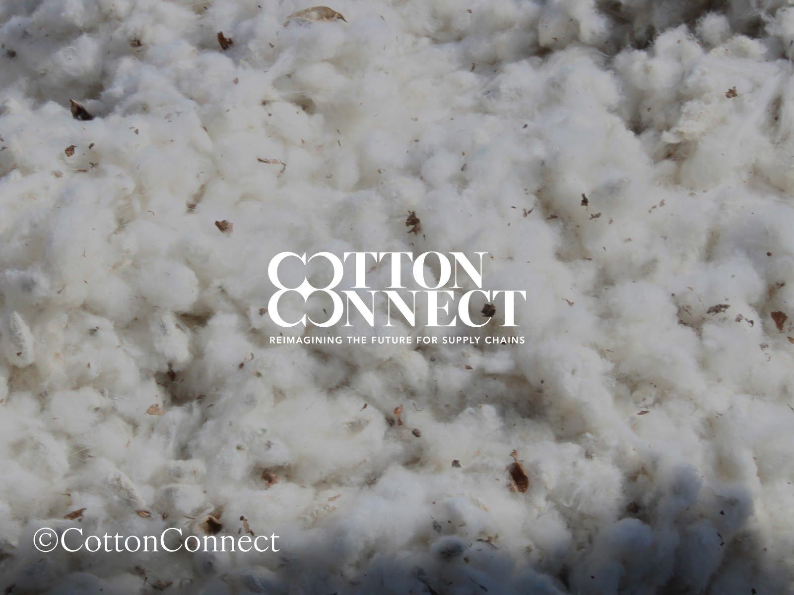 cotton connect