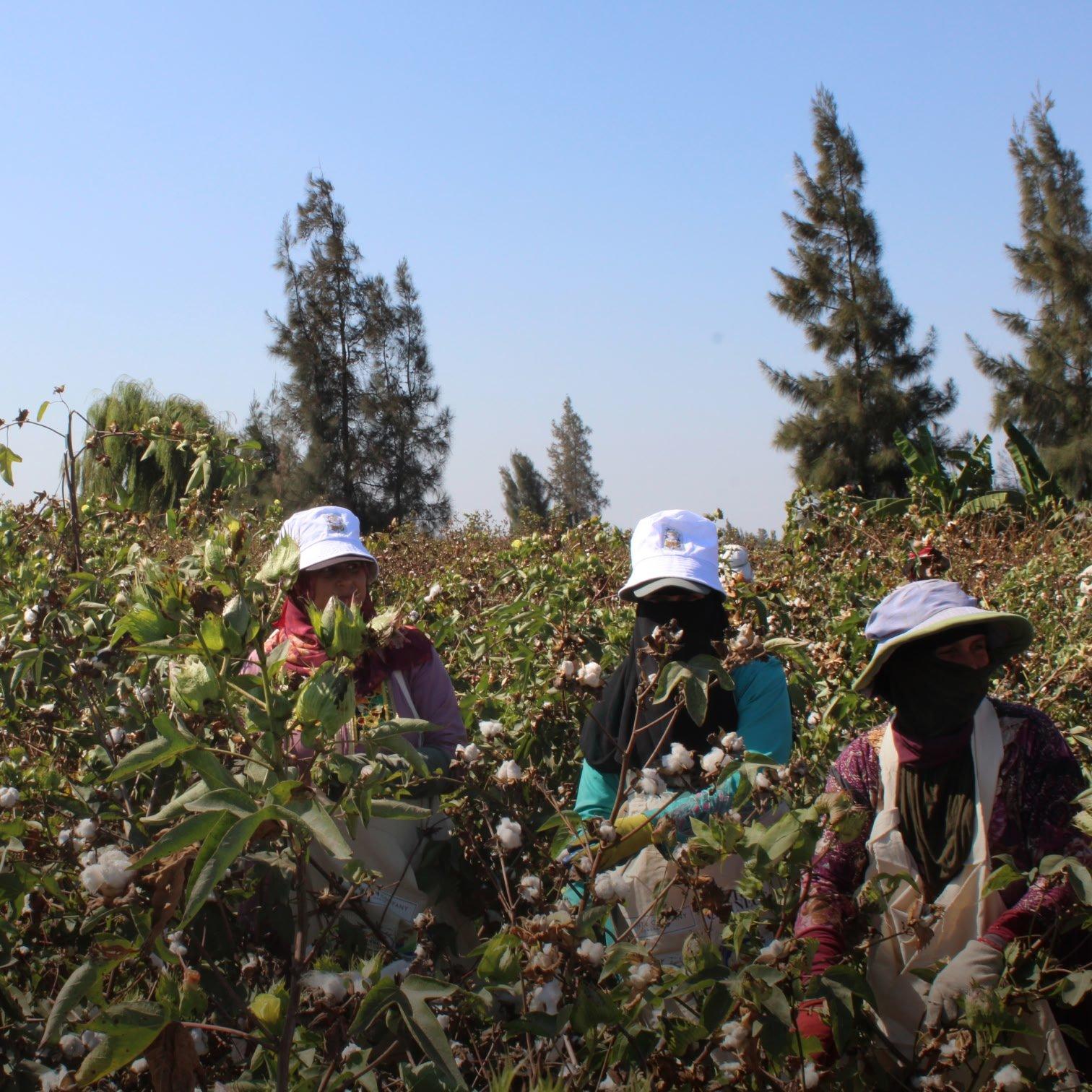 our programme partners