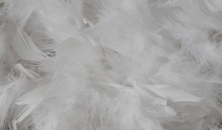 a close up of a pile of white feathers on a table