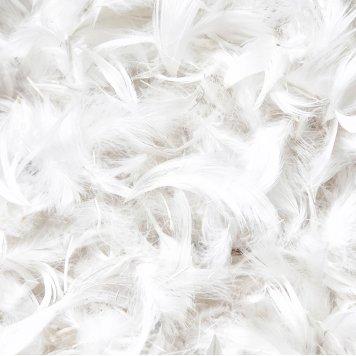 a close up of a pile of white feathers on a table