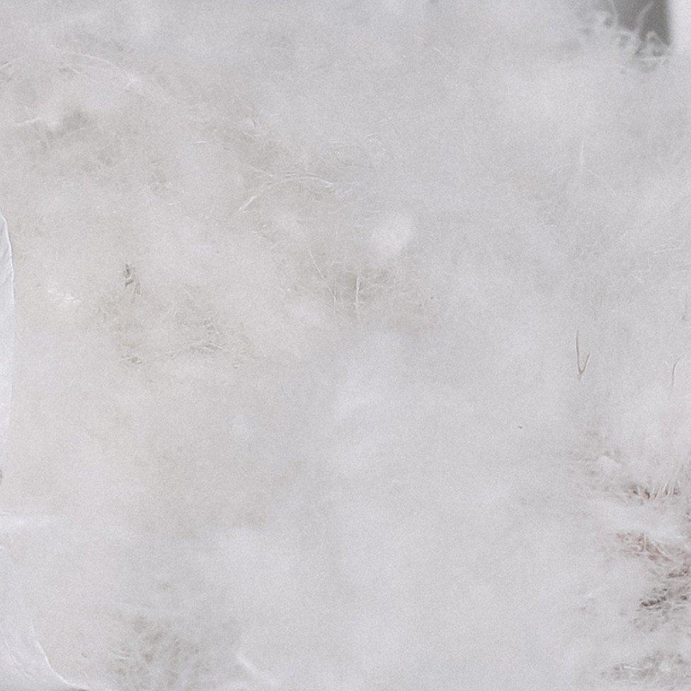 a close up of feathers