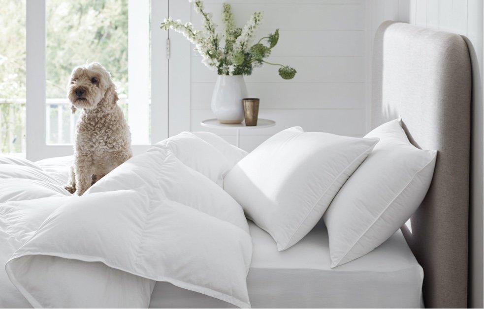 shop natural duvets