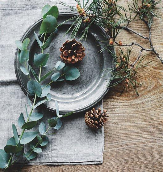 fir-tree-collection