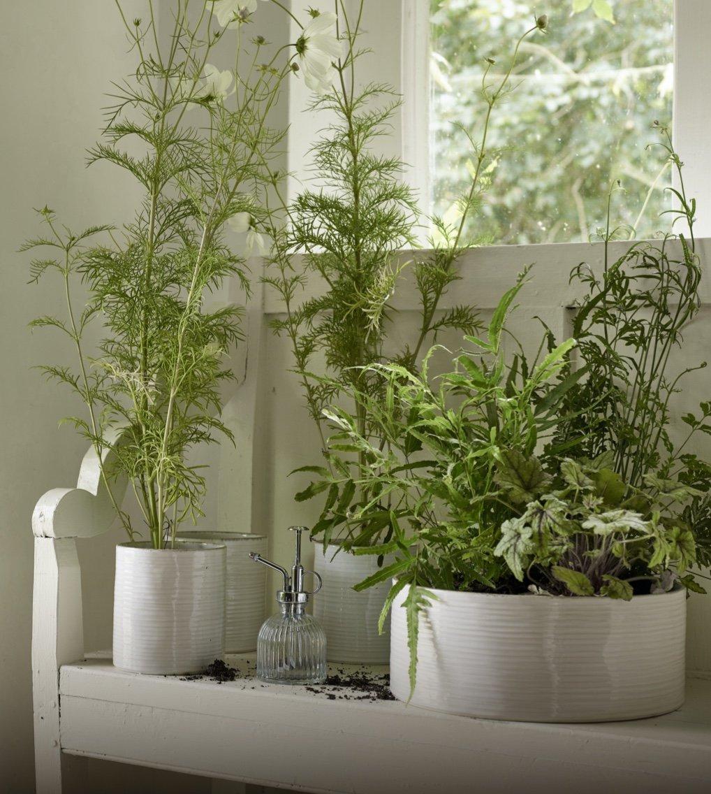 shop textured ceramic large planter