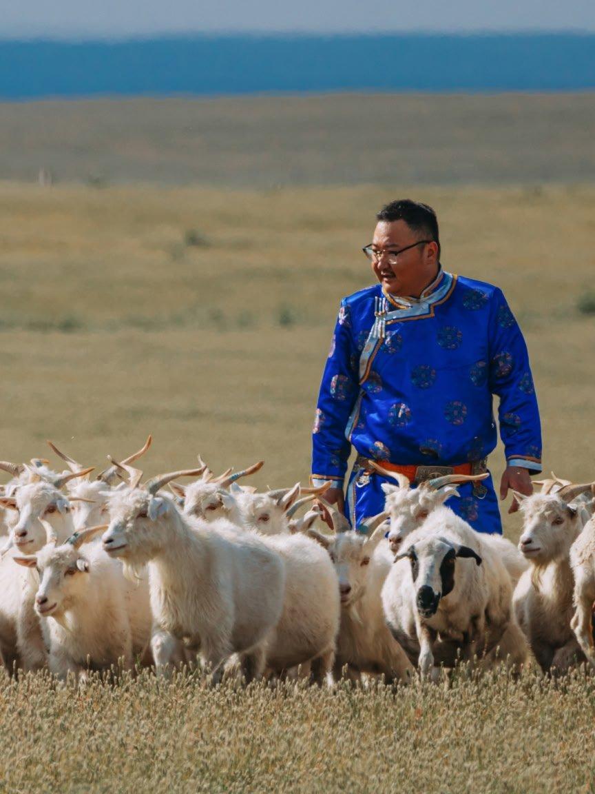 read and shop good cashmere standard