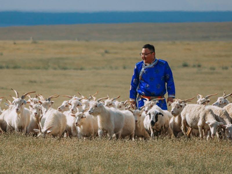 good cashmere standard