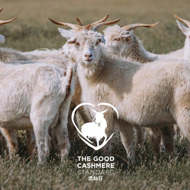 the good cashmere standard
