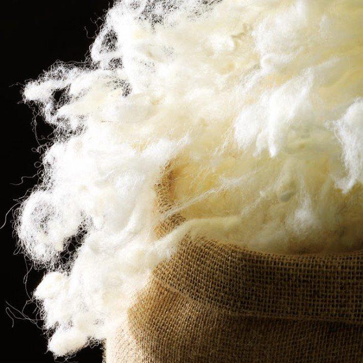 a close up of a bag of white fluffy stuff