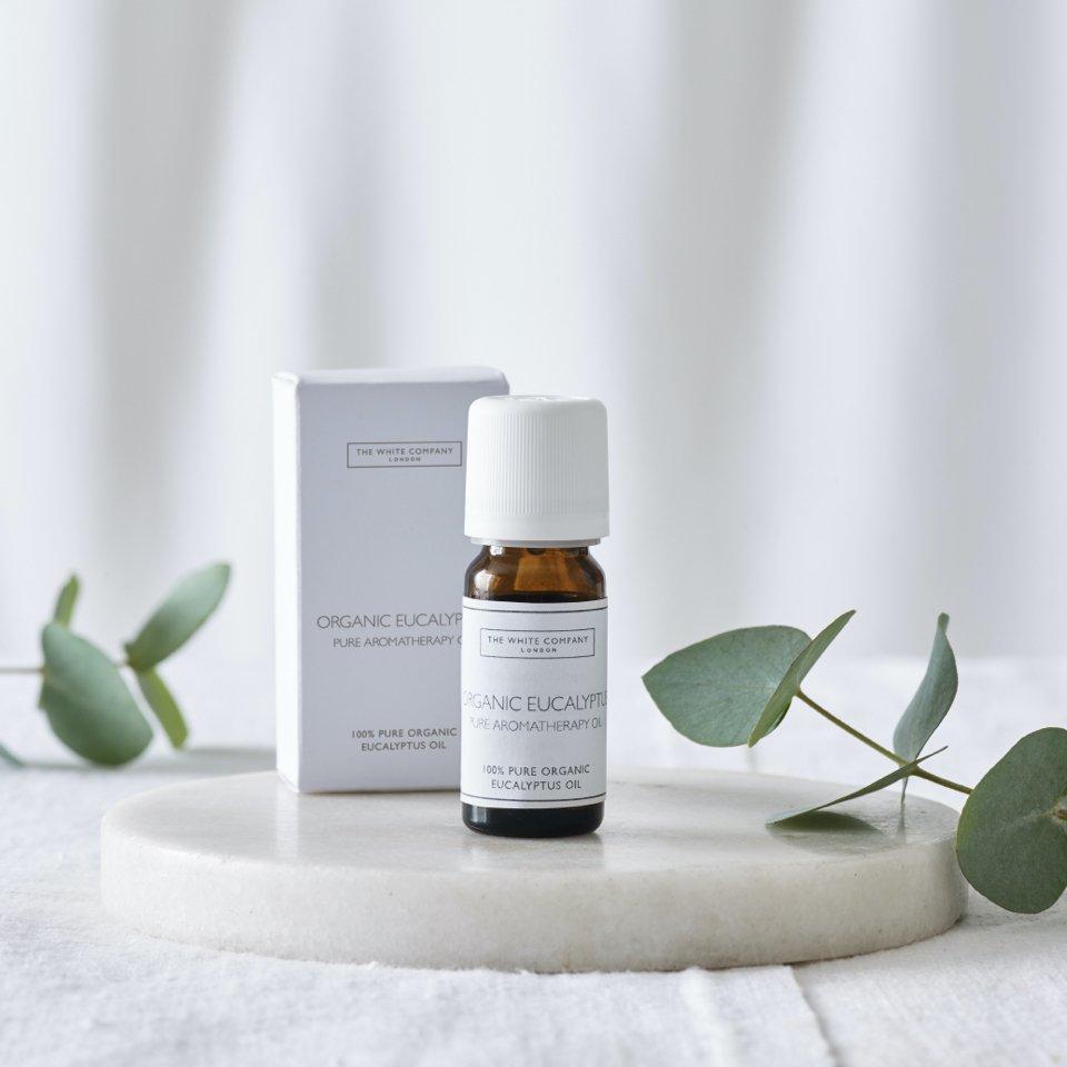 eucalyptus aromatherapy oil