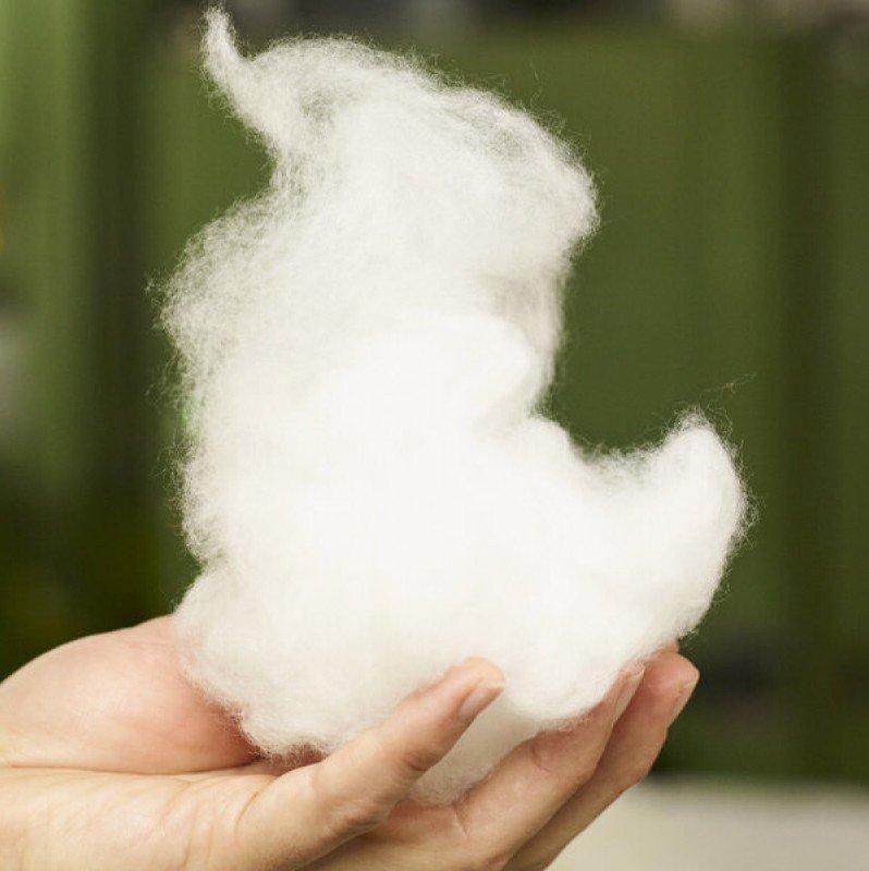 a person holding a piece of cotton in their hand