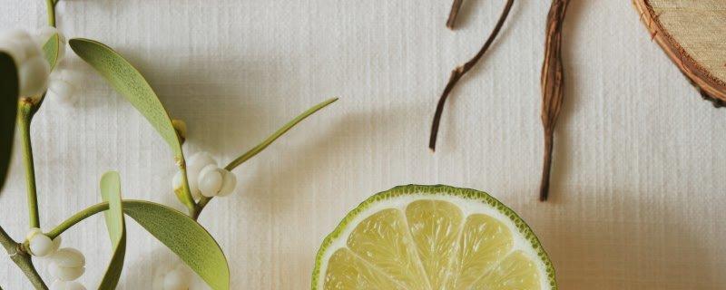 shop mistletoe collection