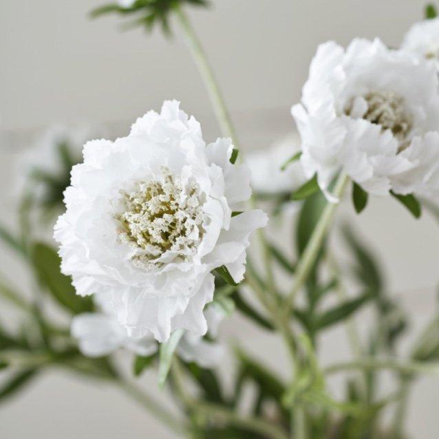 shop scabiosa stems set of 3