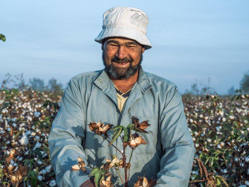 a man in a cotton field picking cotton with a smile on his face