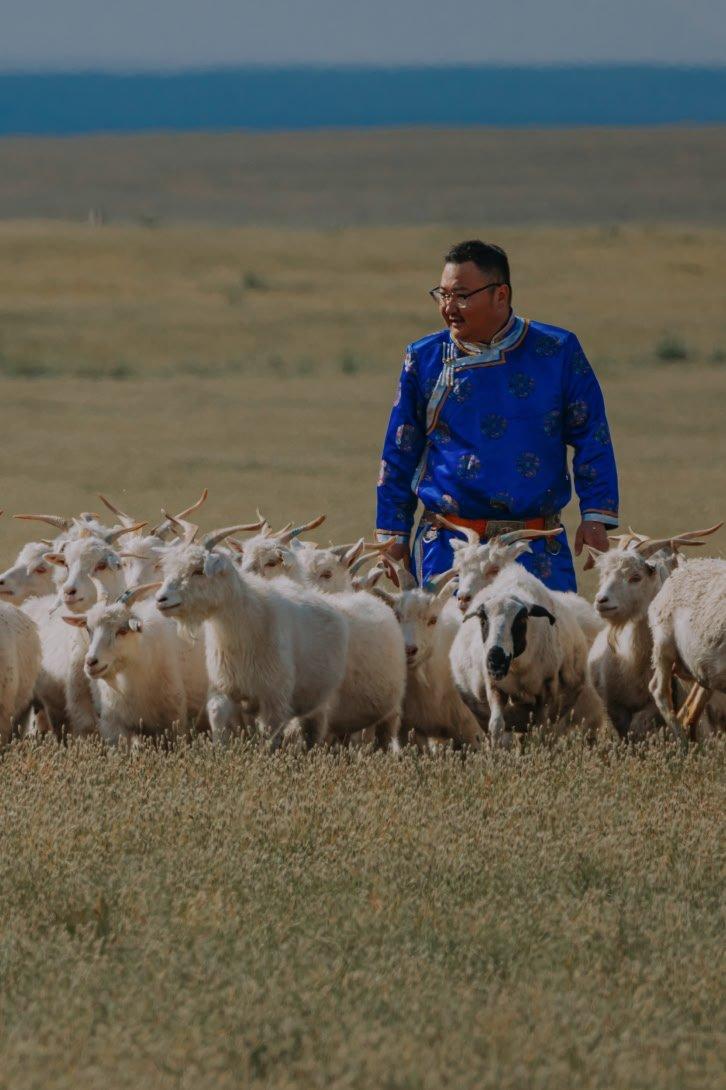 a woman in red headscarf picking cotton in a field