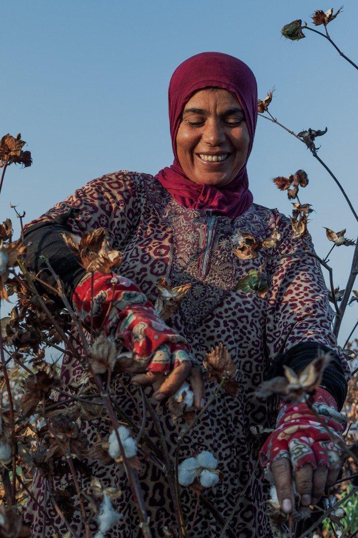 a woman in red headscarf picking cotton in a field