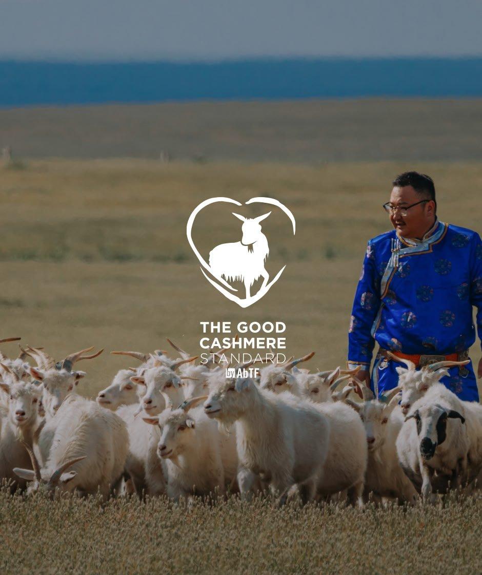 good cashmere standard