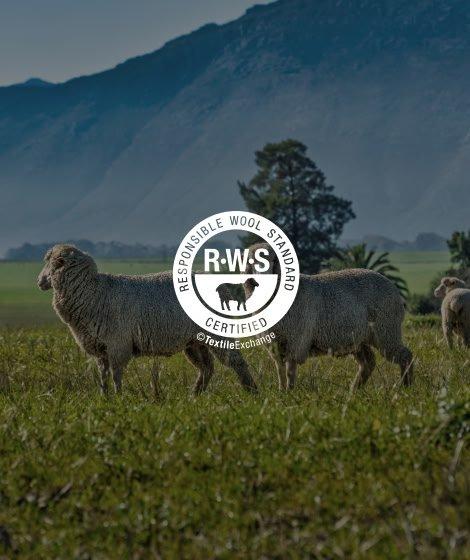 responsible wool
