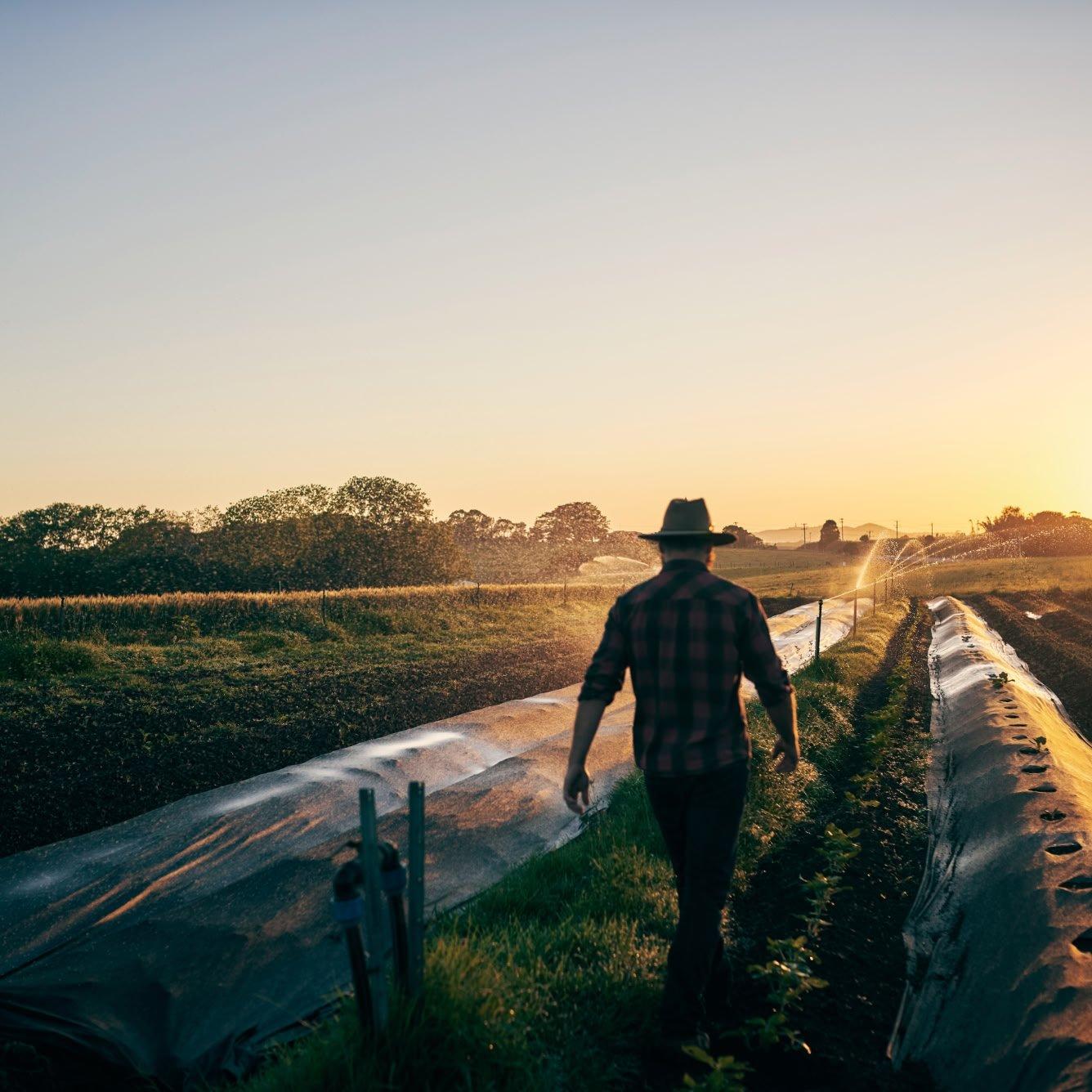 social responsibility