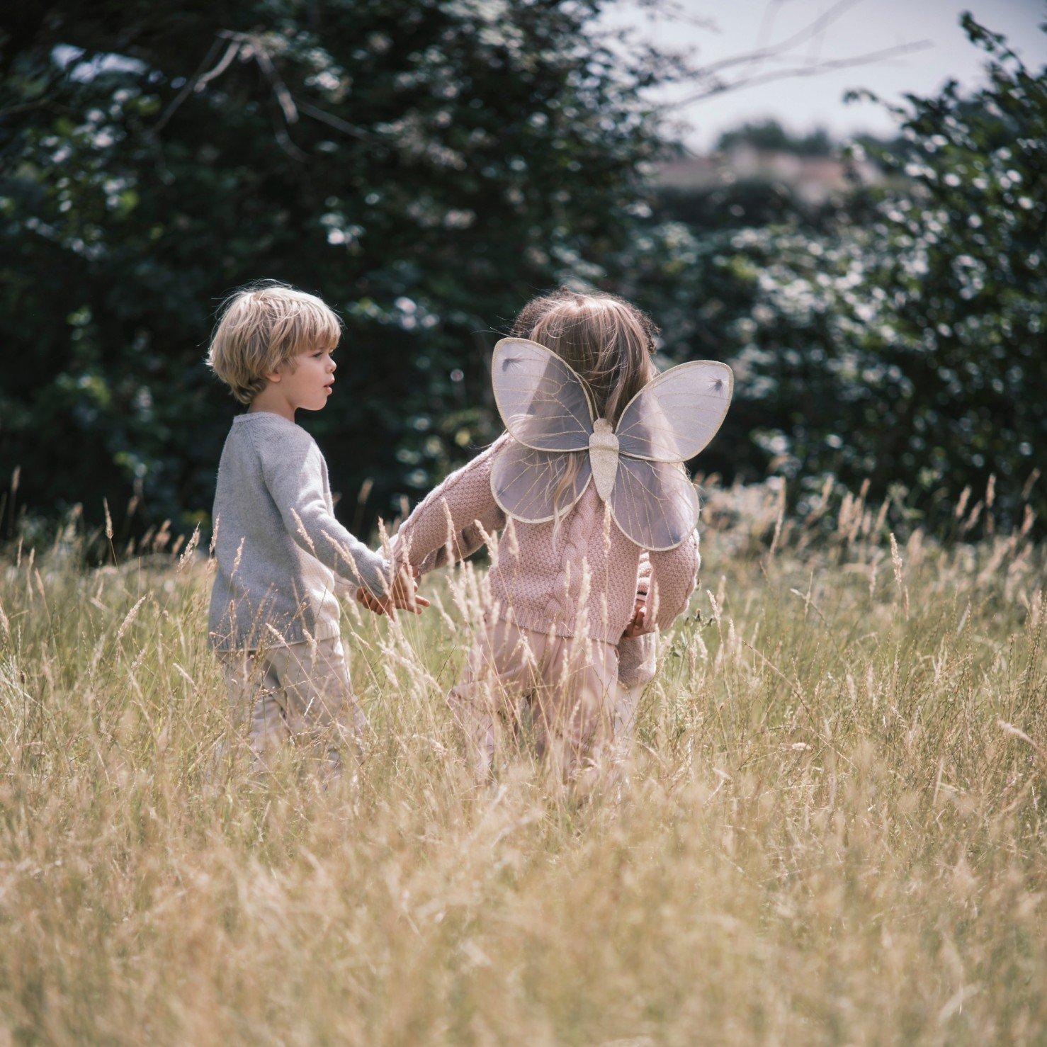 two children holding hands in a field with a butterfly on their backs