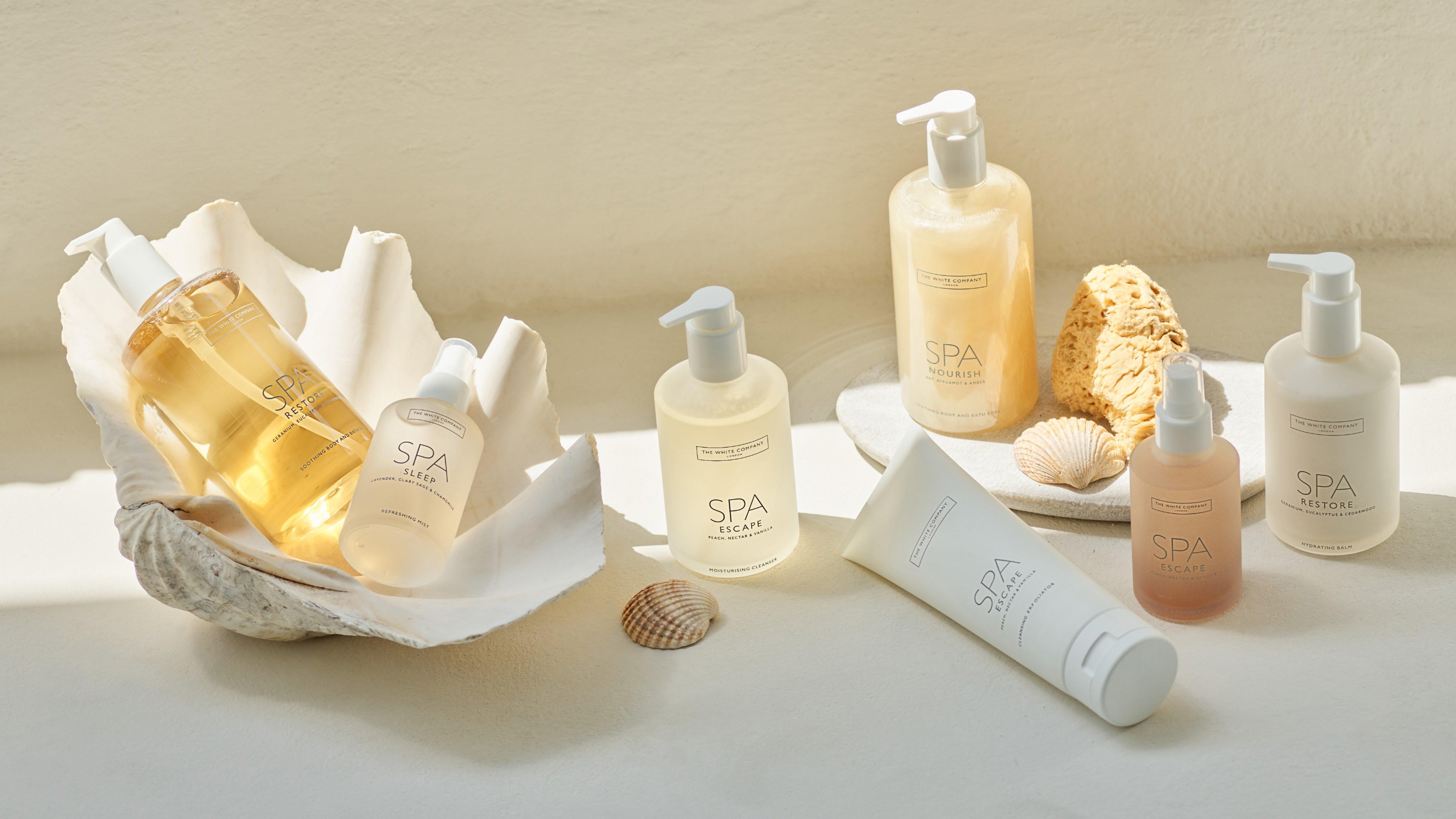 a white table with a shell and shells on it