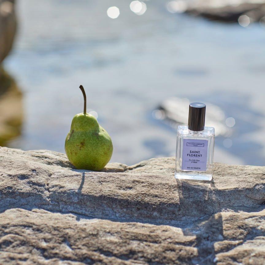 introducing saint florent