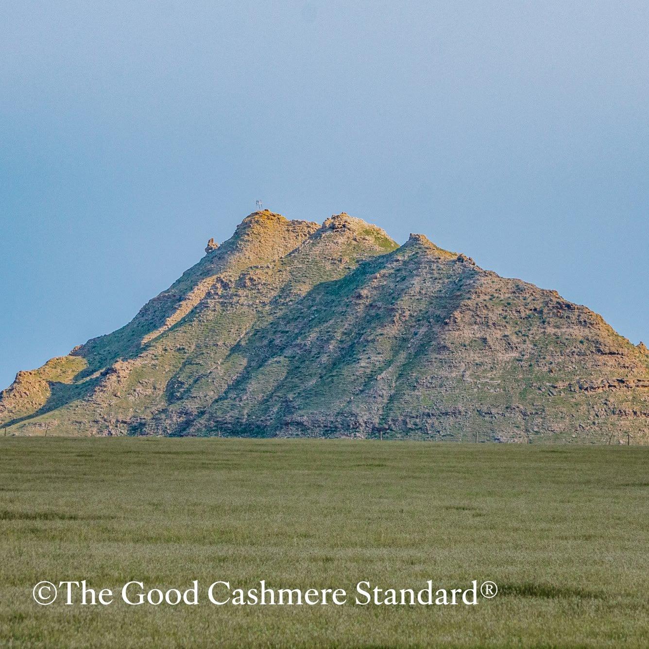 good cashmere standard