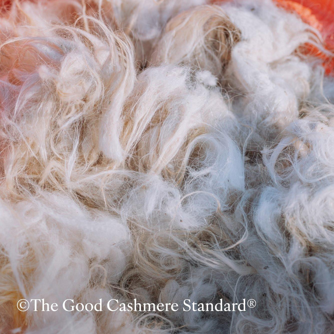 good cashmere standard
