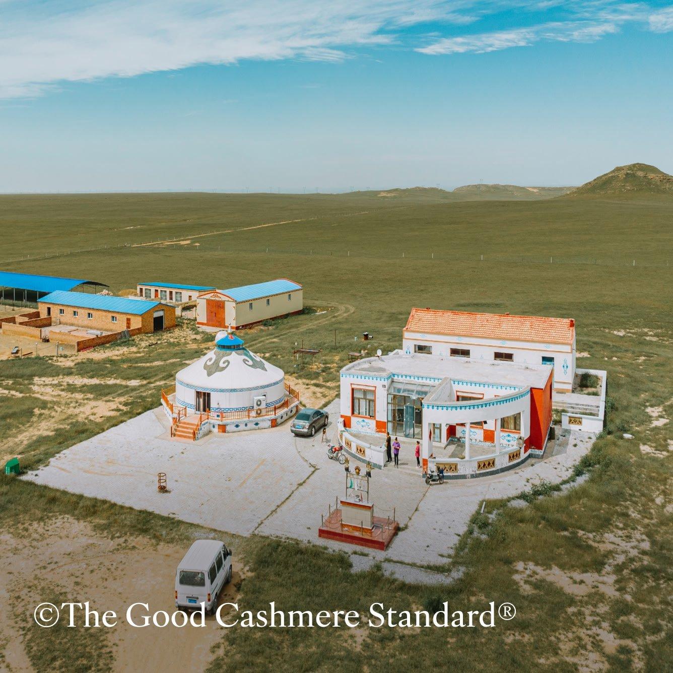 good cashmere standard