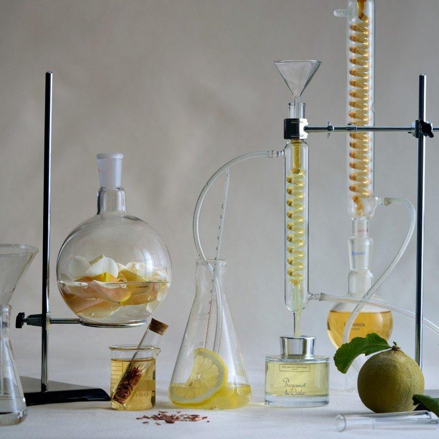 read and shop the alchemy of scent