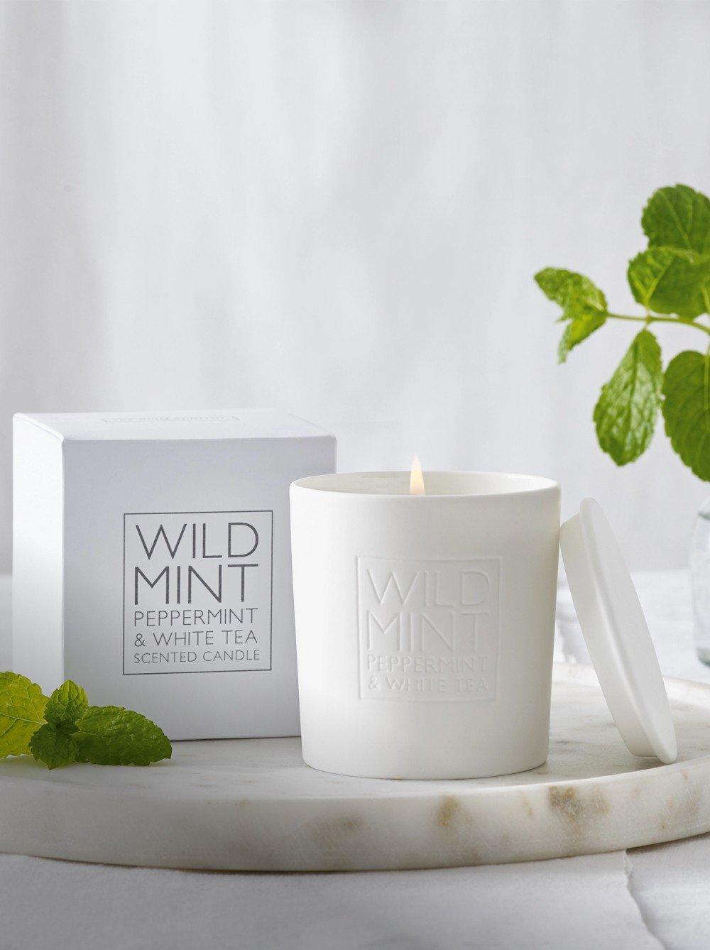 a white candle sitting on a plate next to a plant