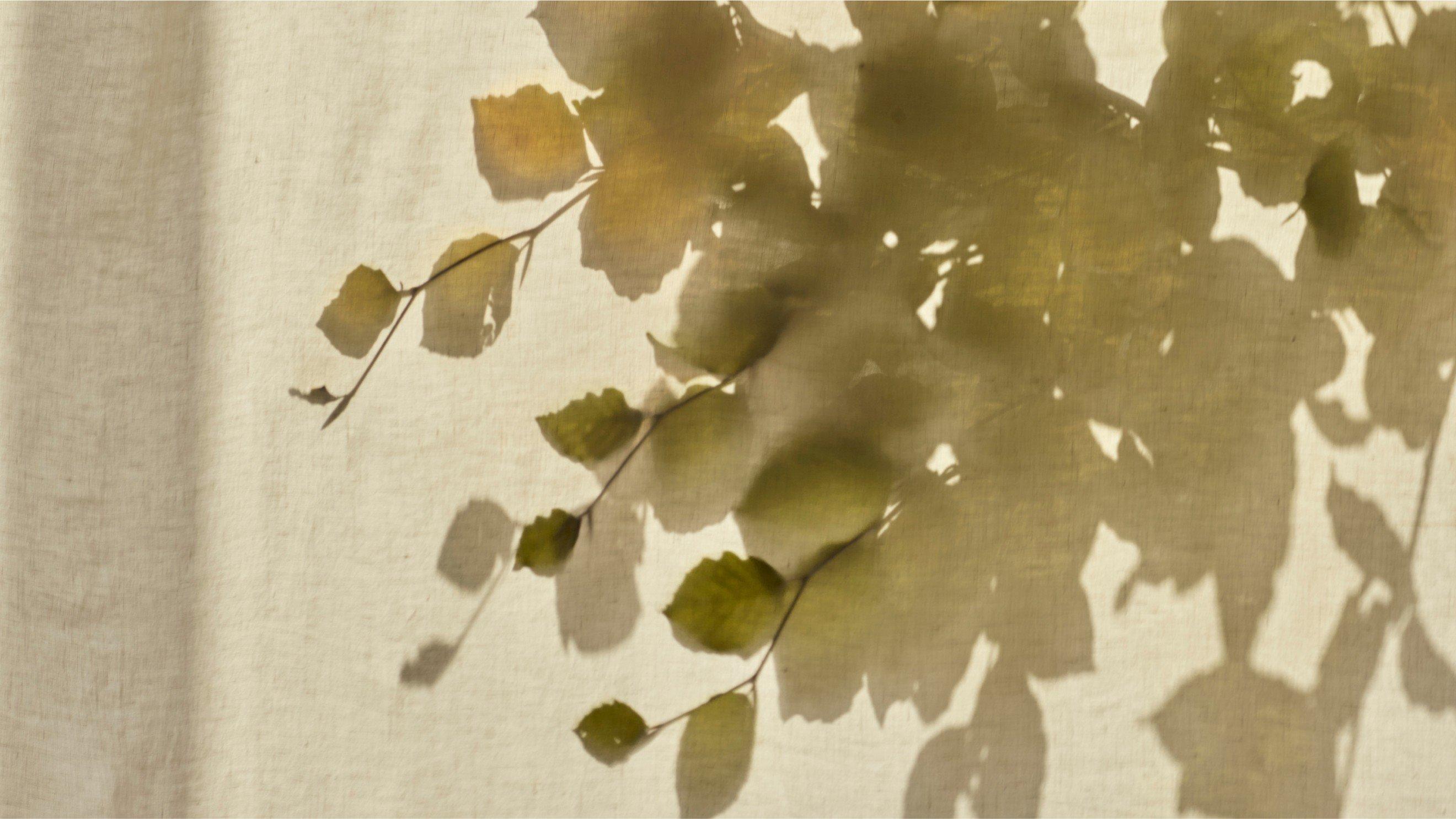 a tennis ball is reflected in the leaves of a plant