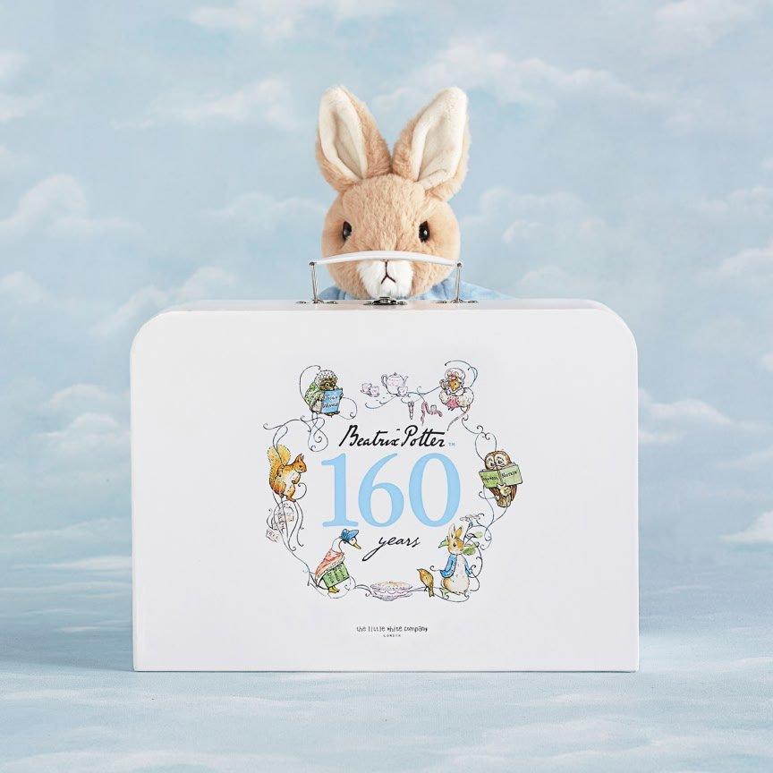 a stuffed rabbit sitting on top of a suitcase with a blue sky background