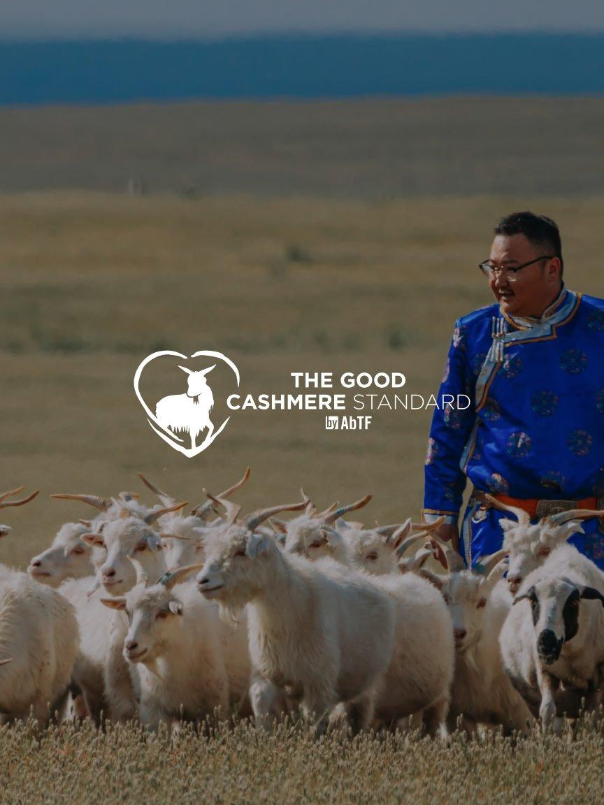 read and shop good cashmere standard