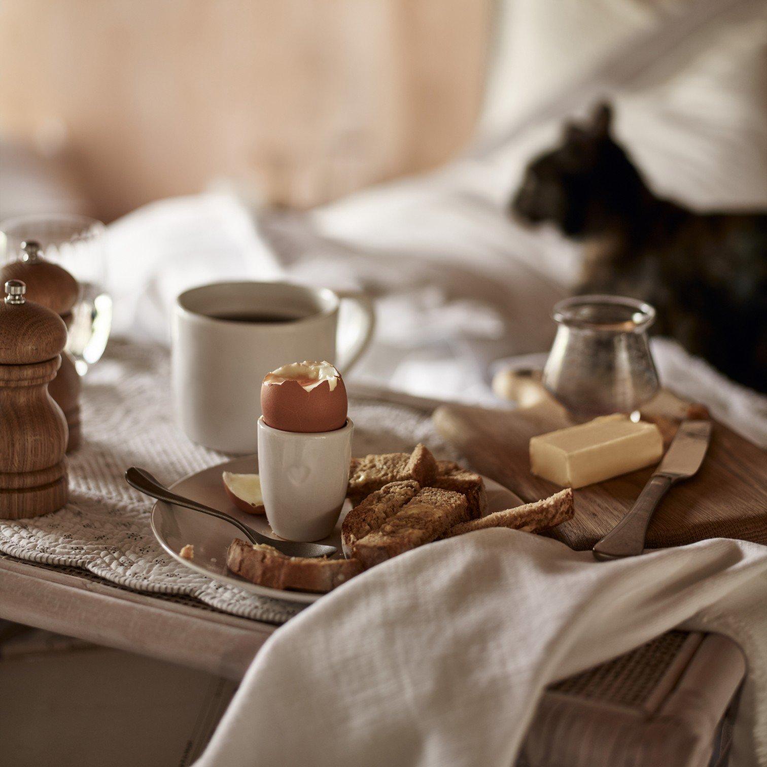 breakfast on a plate on a bed with a cat