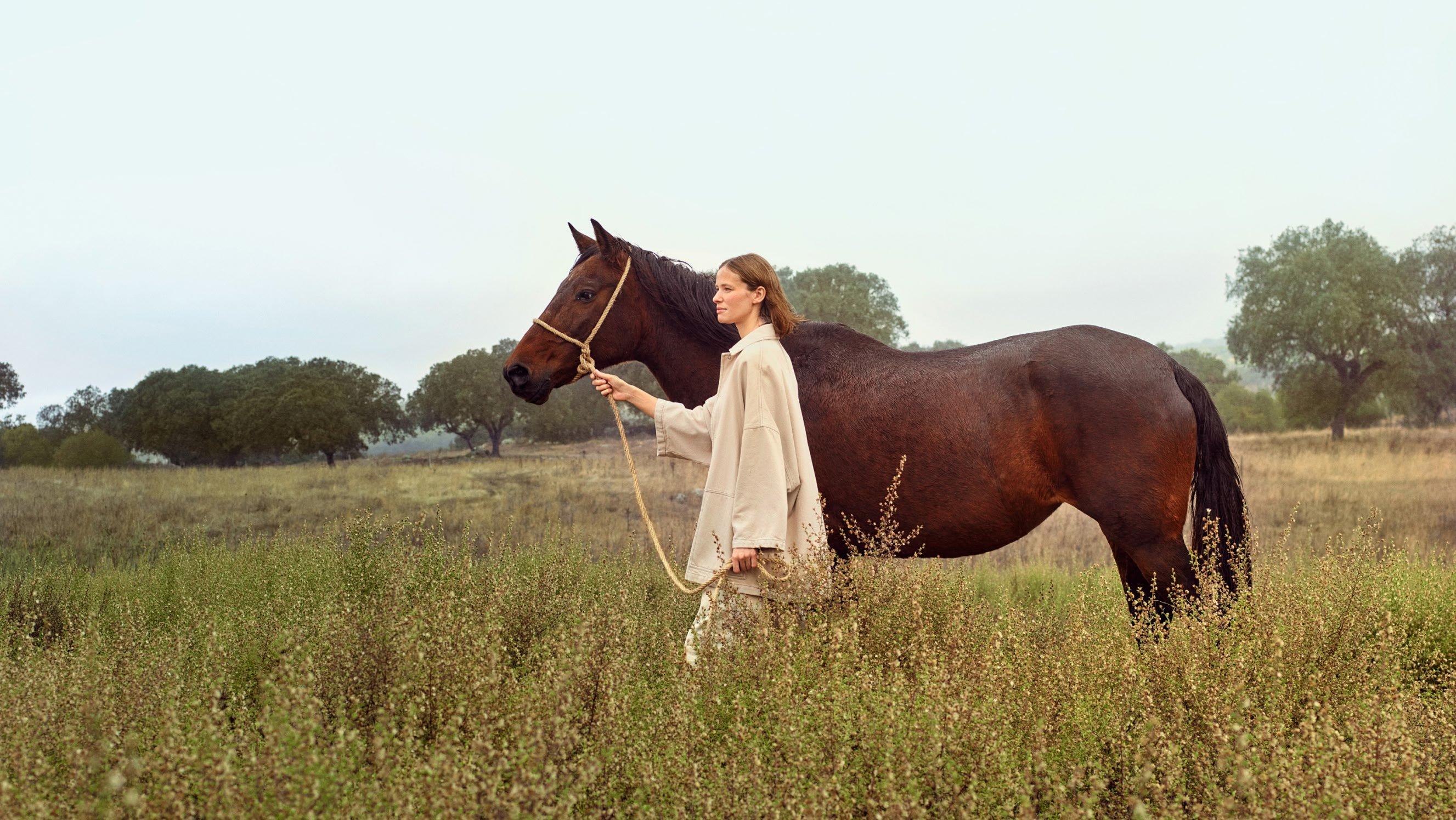 introducing santa fe