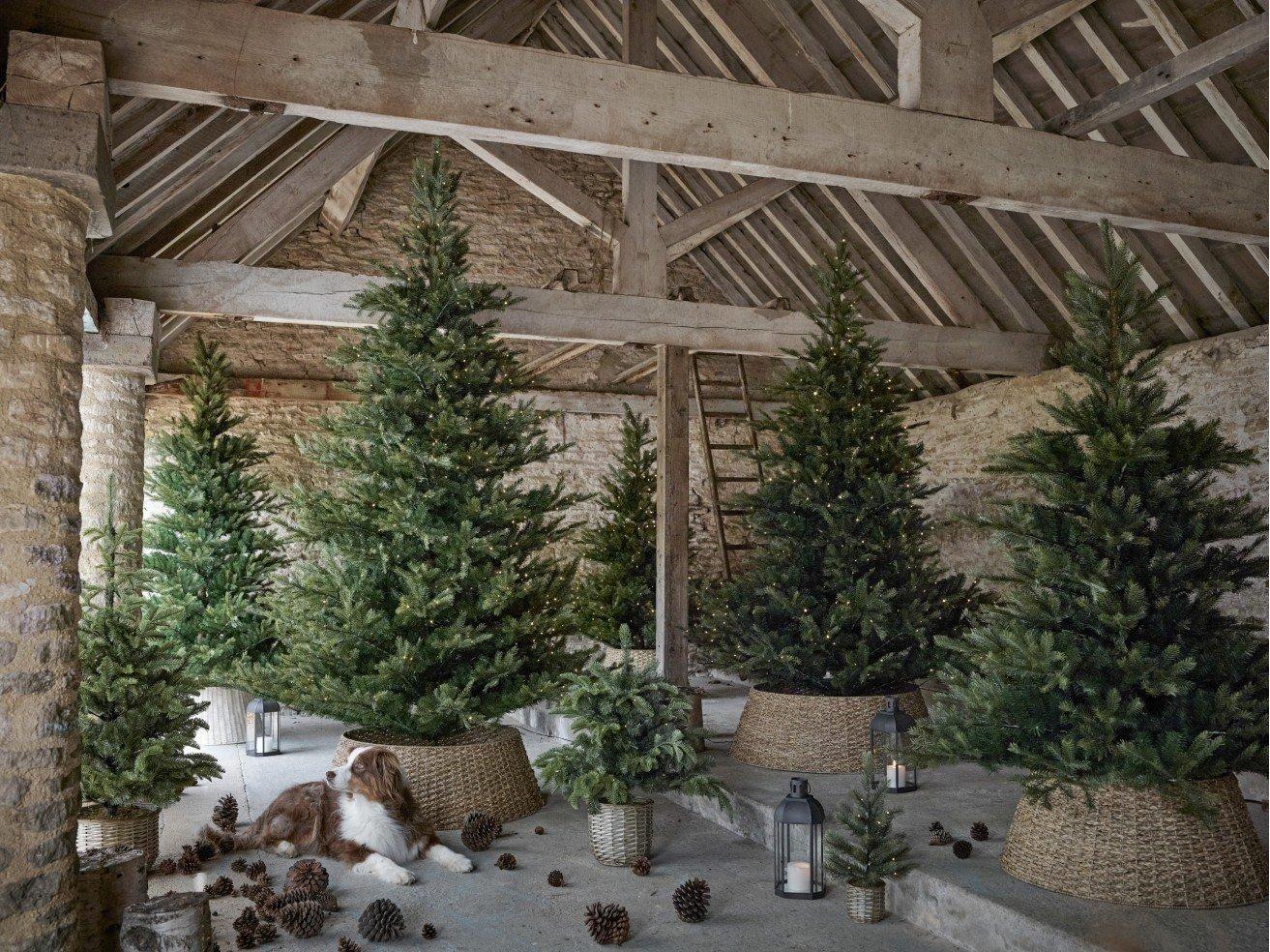 Why it’s great to have more than one Christmas tree The White Company