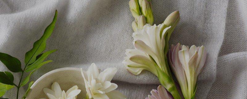 tuberose and cashmere collection