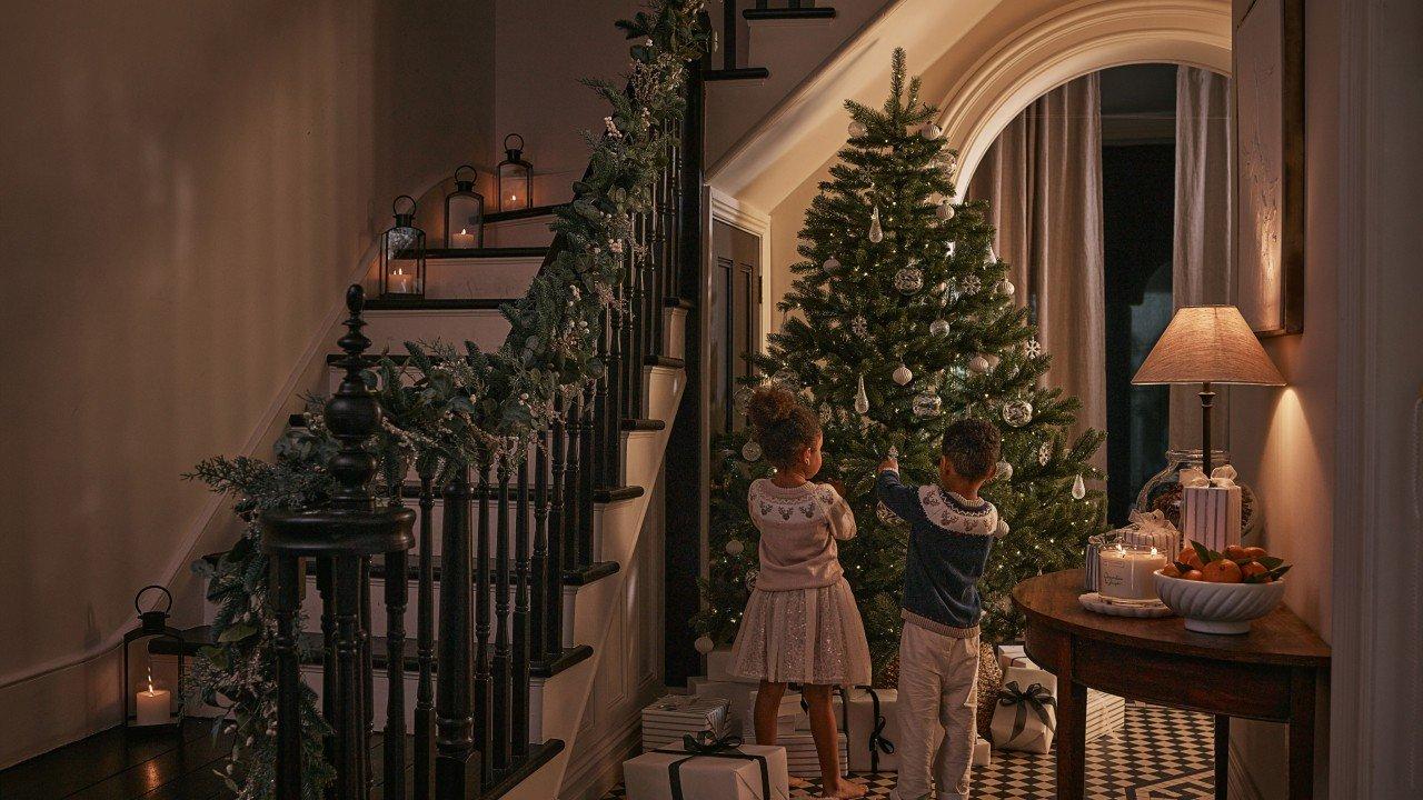 a group of small christmas trees are sitting in pots