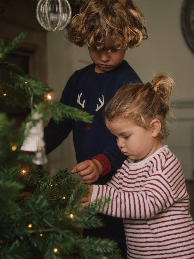 present bag reindeer