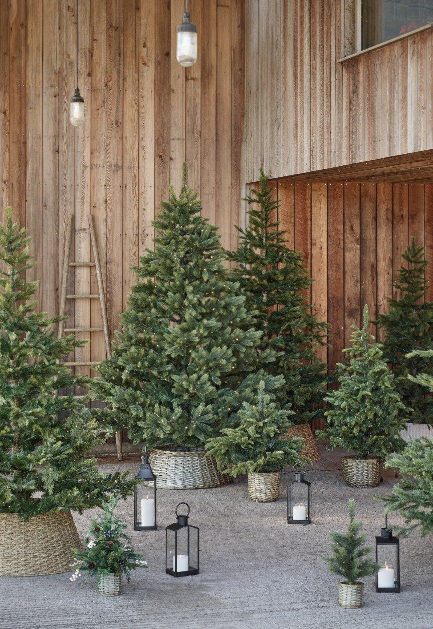 a bunch of small christmas trees are sitting in a room