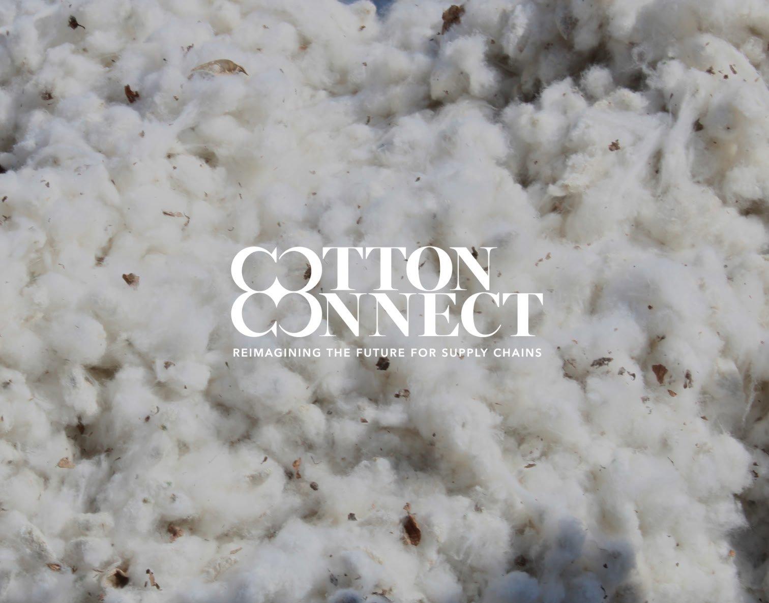 cotton 