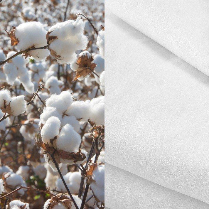 a close up of a cotton plant with white fabric