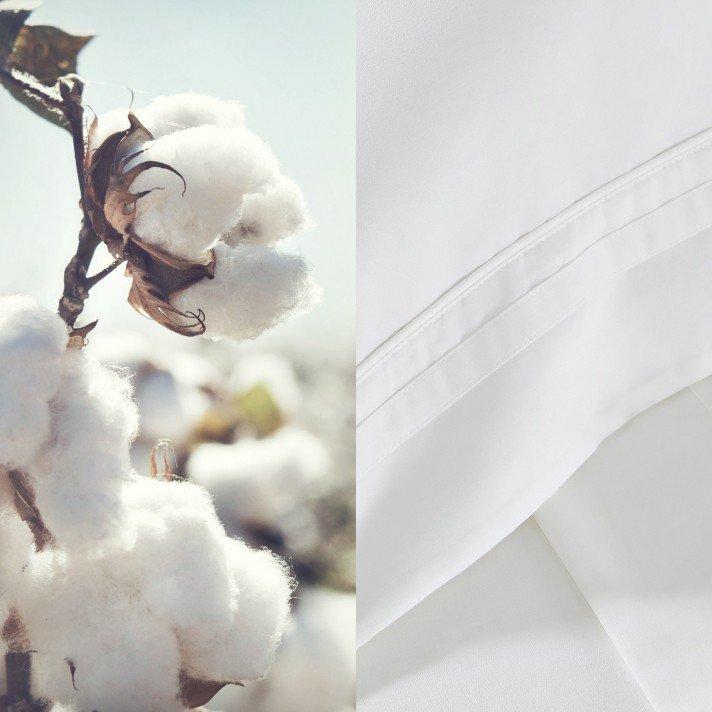 a close up of a cotton plant and a white sheet