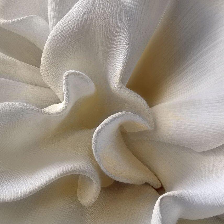 a close up of a bunch of cotton plants with seeds
