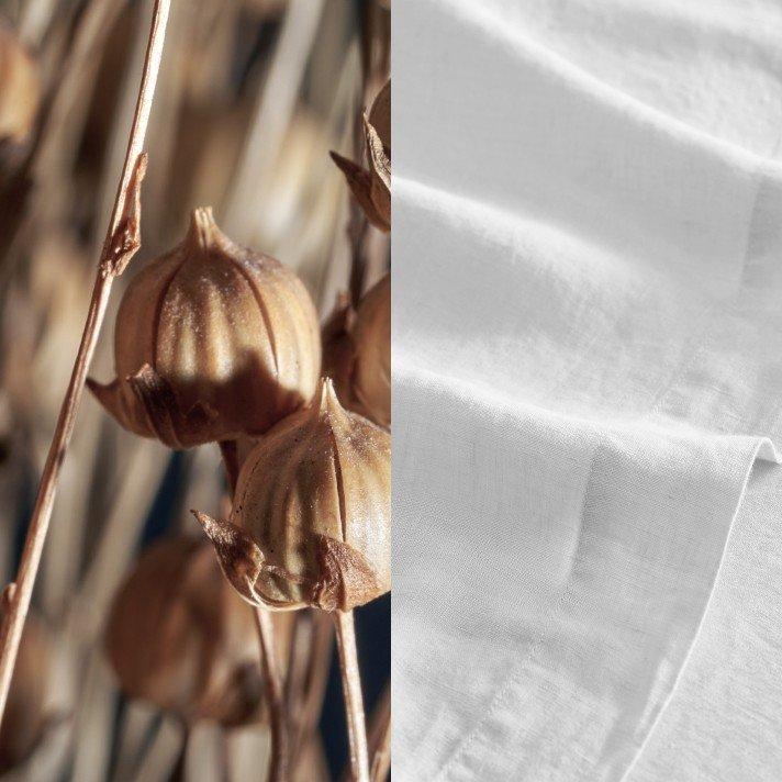 a close up of a bunch of dried flowers and a white sheet